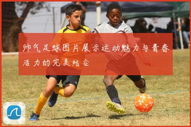 帅气足球图片展示运动魅力与青春活力的完美结合